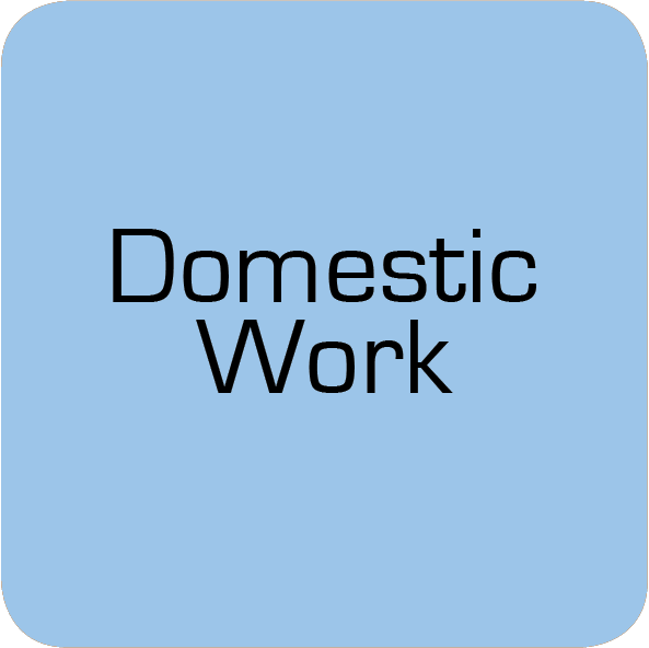 Domestic Work